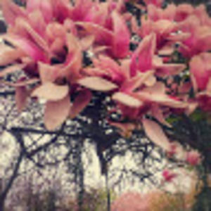 Meet your Posher, Maria laura